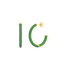 Hoop Earrings in Green