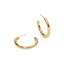 Hoop Earrings in Gold