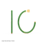 Hoop Earrings in Green