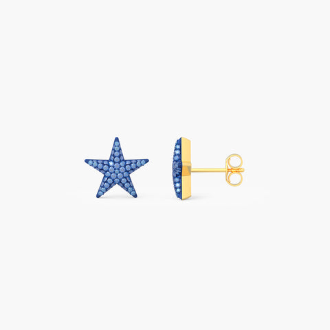 Star Studs in Blue