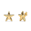 Star Studs in Gold