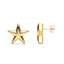 Star Studs in Gold