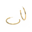 Hoop Earrings in Gold