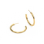 Hoop Earrings in Gold