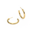 Hoop Earrings in Gold