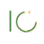 Hoop Earrings in Green