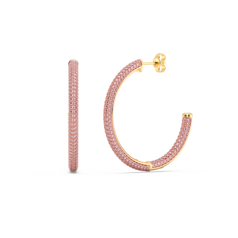 Hoop Earrings in Pink