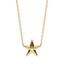 Star Pendant Necklace in Gold
