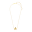 Star Pendant Necklace in Gold