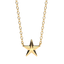 Star Pendant Necklace in Gold