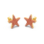 Star Studs in Orange